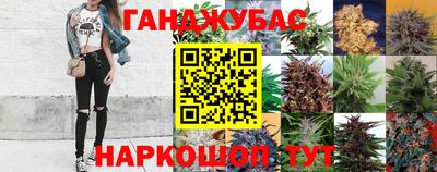 каннабис Кингисепп
