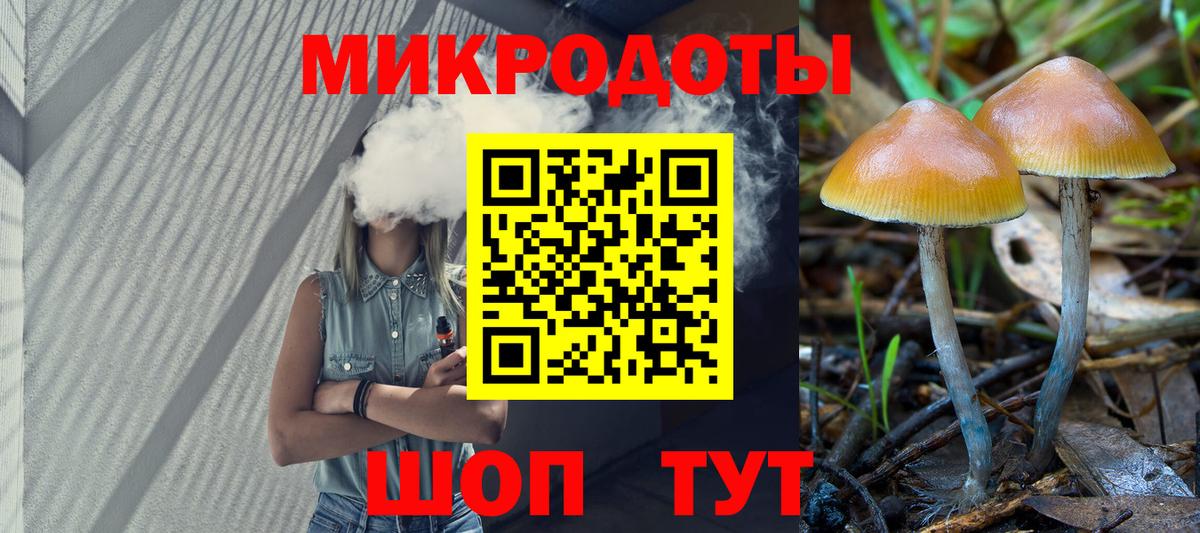 Галлюциногенные грибы мухоморы  Вход с VPN  Псилоцибиновые грибы прущие грибы  Кинель 